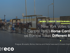 New York Votes to End Central Park's Horse Carriages, as European Cities Take Different Roads
