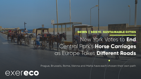 New York Votes to End Central Park's Horse Carriages, as European Cities Take Different Roads