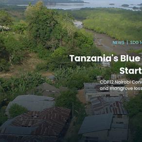 Tanzania's Blue Economy Starts on Land, Scientists Warn at COP12