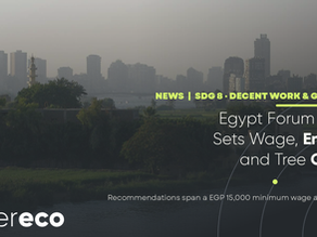 Egypt Forum 2026 Sets Wage, Renewable Energy and Tree Protection Goals
