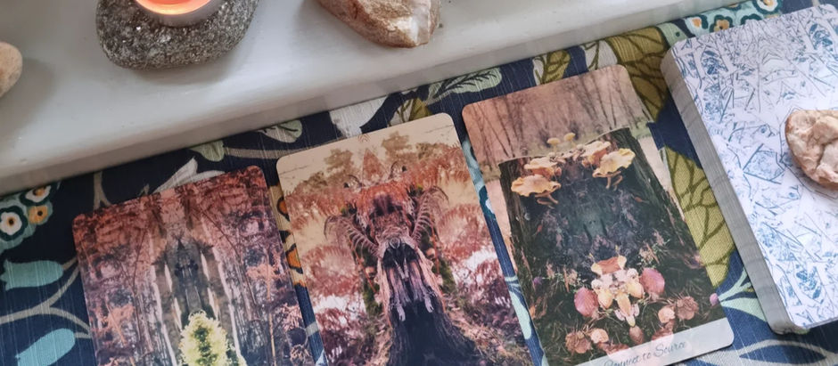 Facets of Communication Part 4 | The Synergy of Multiple Senses with Tree Whisper Oracles.