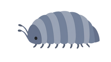 Untitled design (5).png