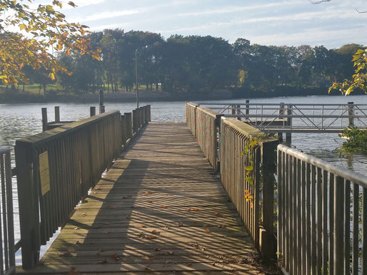 Silencing Emotion Is Not Strength: What Scripture and Science Teach About Emotional Regulation. 