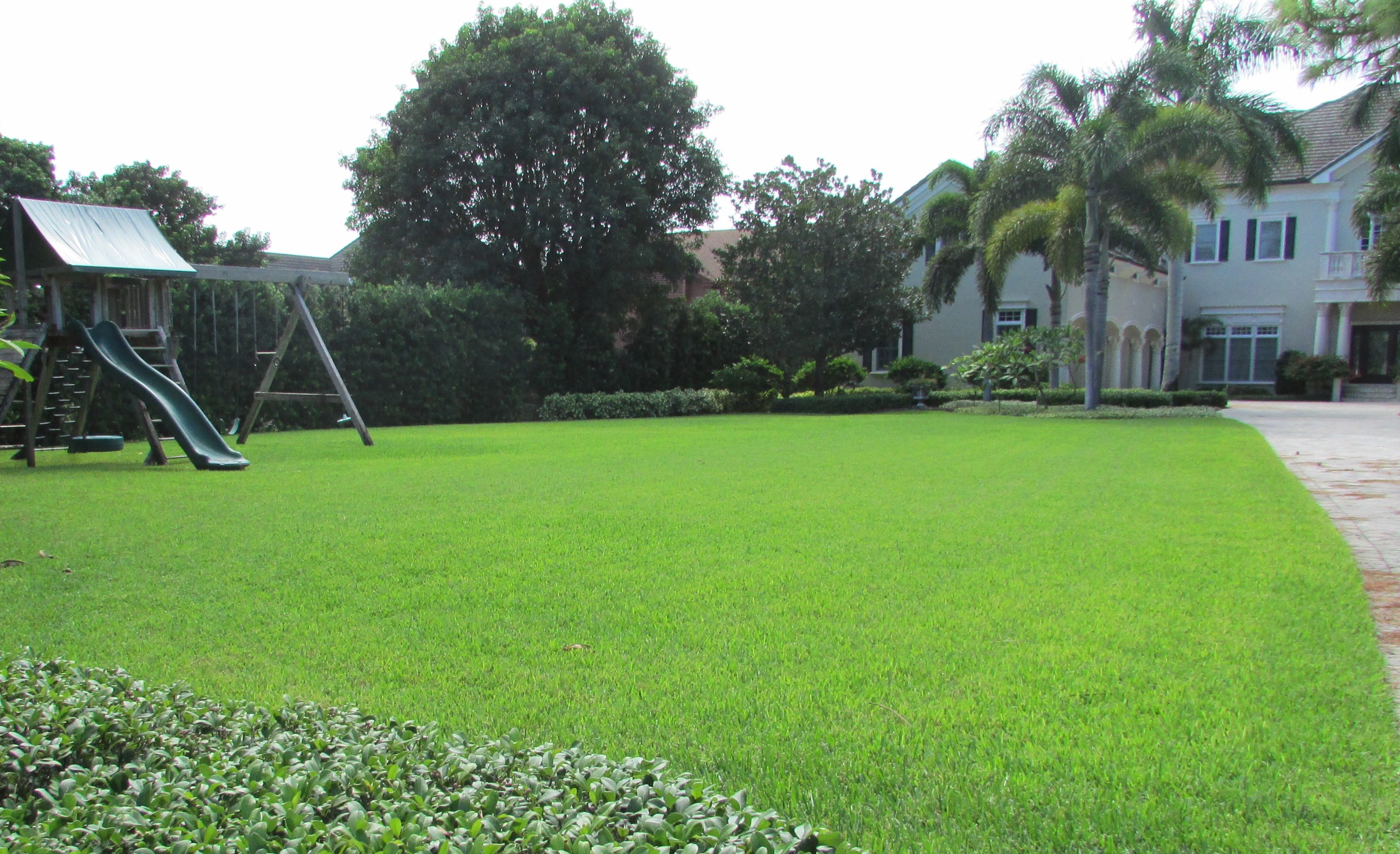 Home | Palm Garden Nursery and Landscaping, Inc.