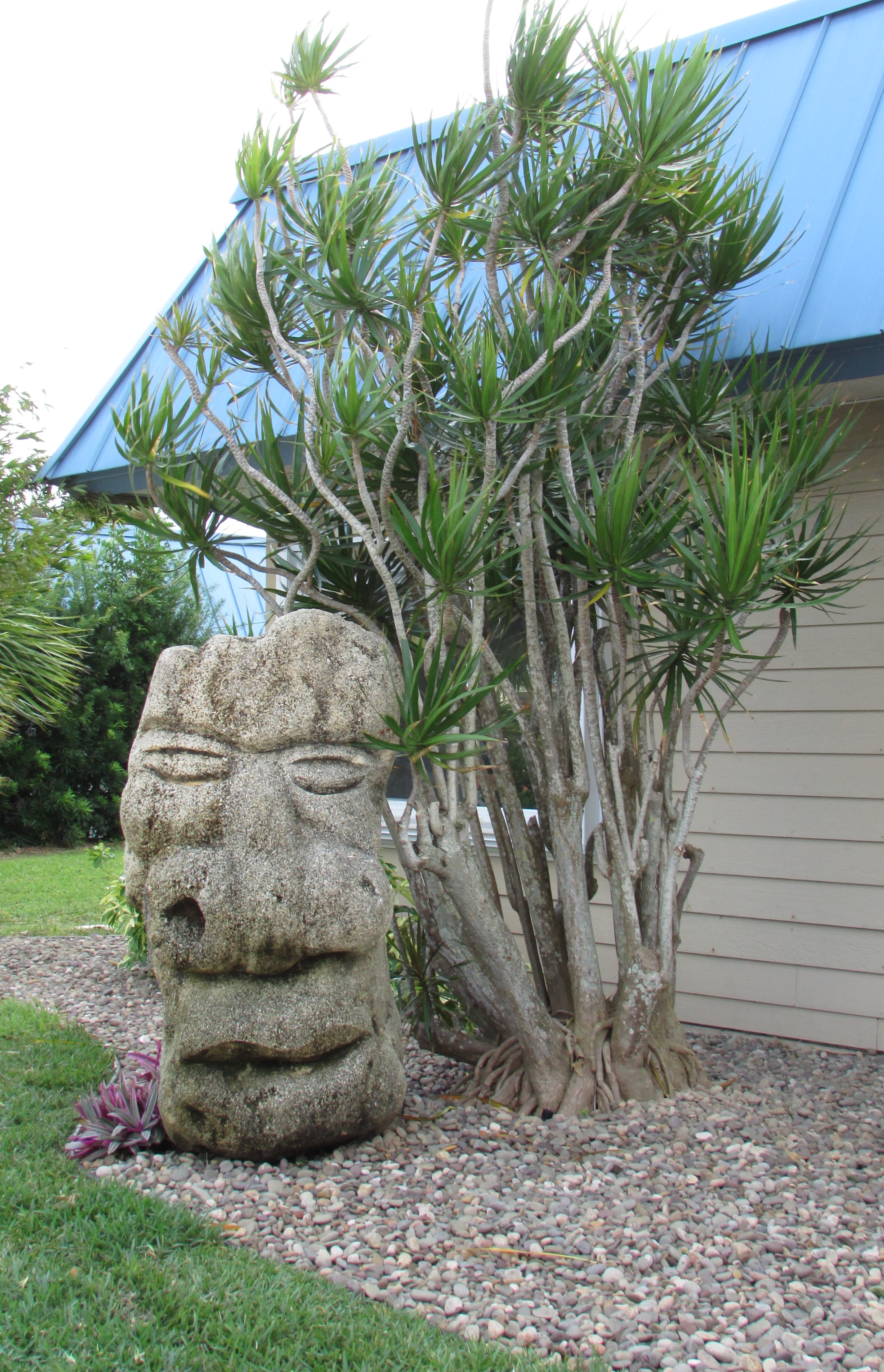 Home | Palm Garden Nursery and Landscaping, Inc.