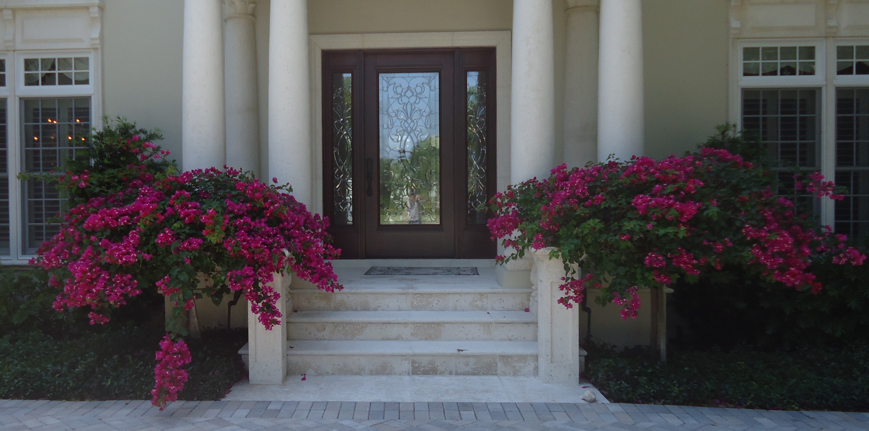 Home | Palm Garden Nursery and Landscaping, Inc.