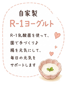 自家製R1ヨーグルト_edited_edited.png