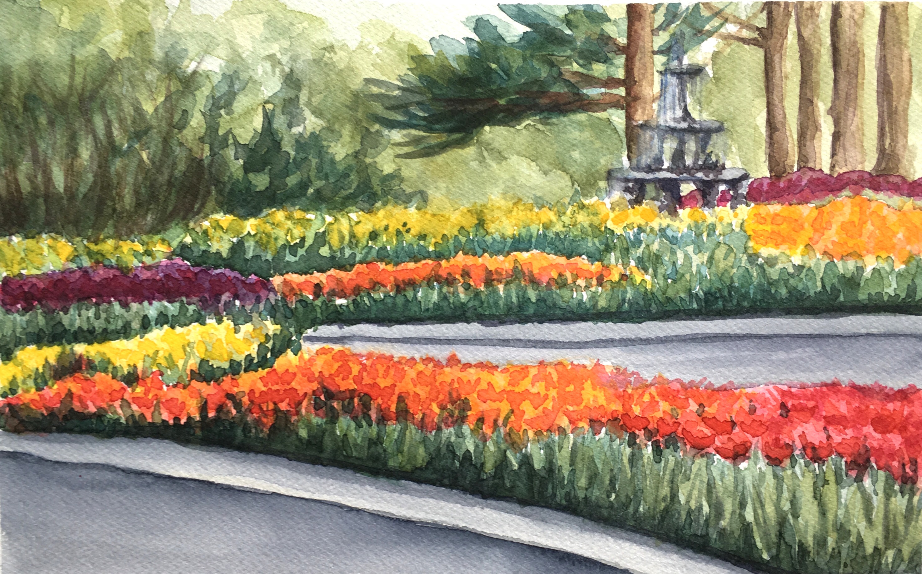 "Tulips study"