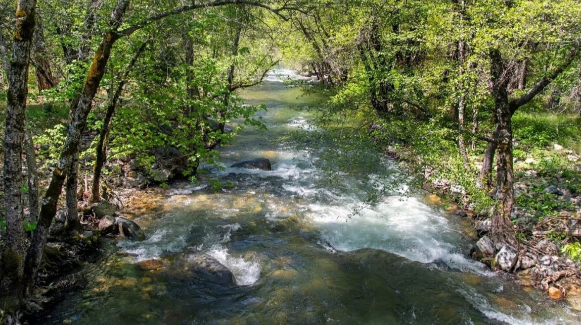 riverranchcampgrounds.com logo