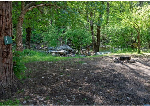 Wooded clearing with a trail sign and fire pit