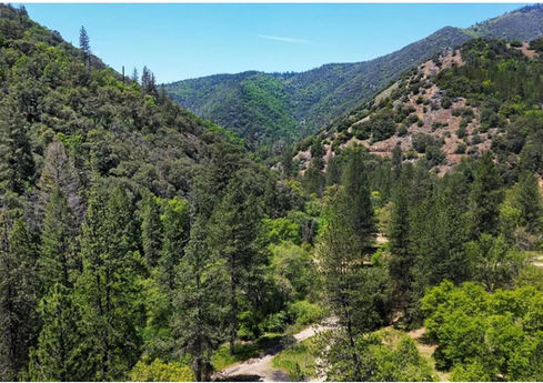 Lush green forested mountain valley under a clear blue sky.