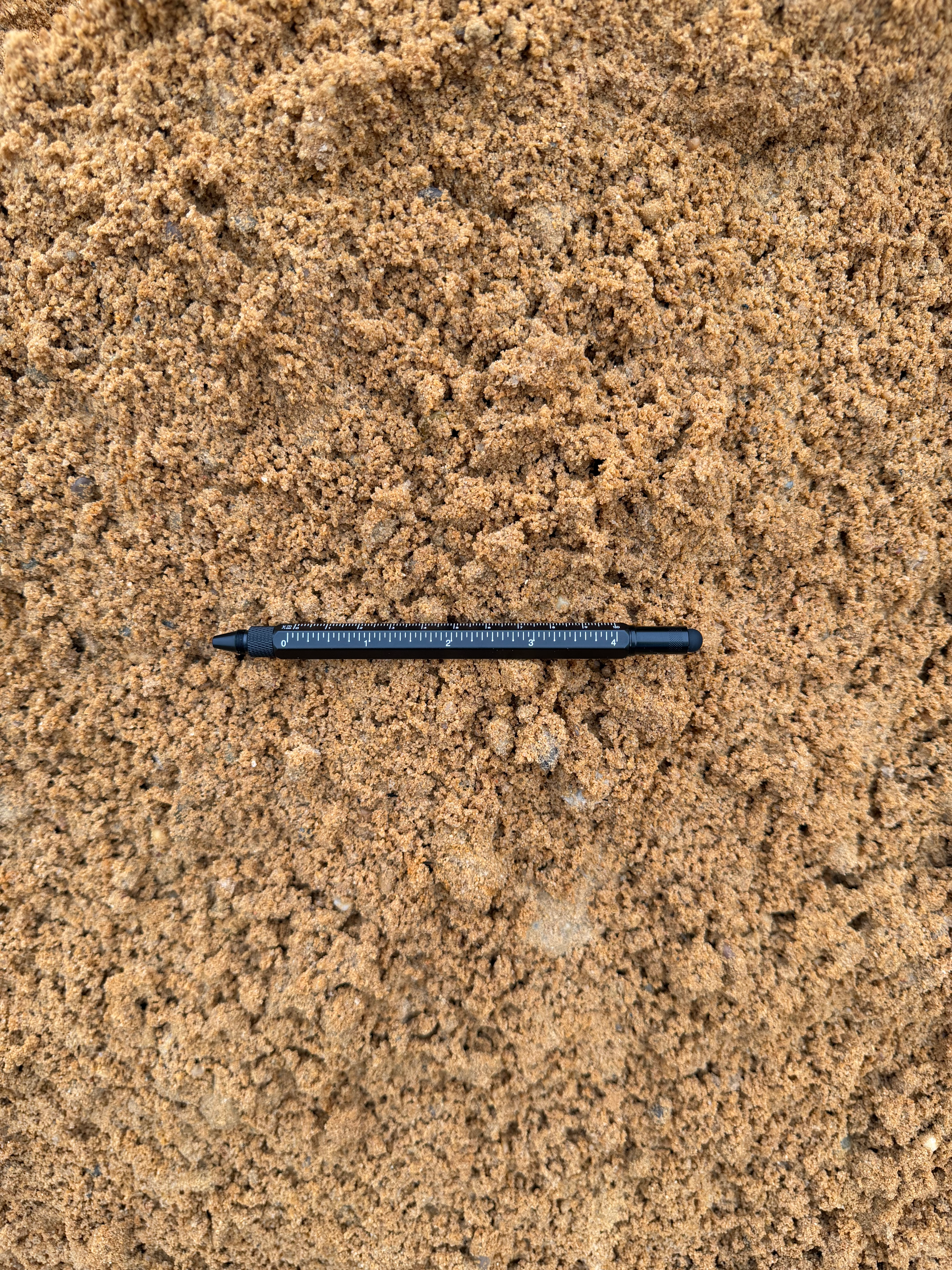 Bank Sand C.Y.