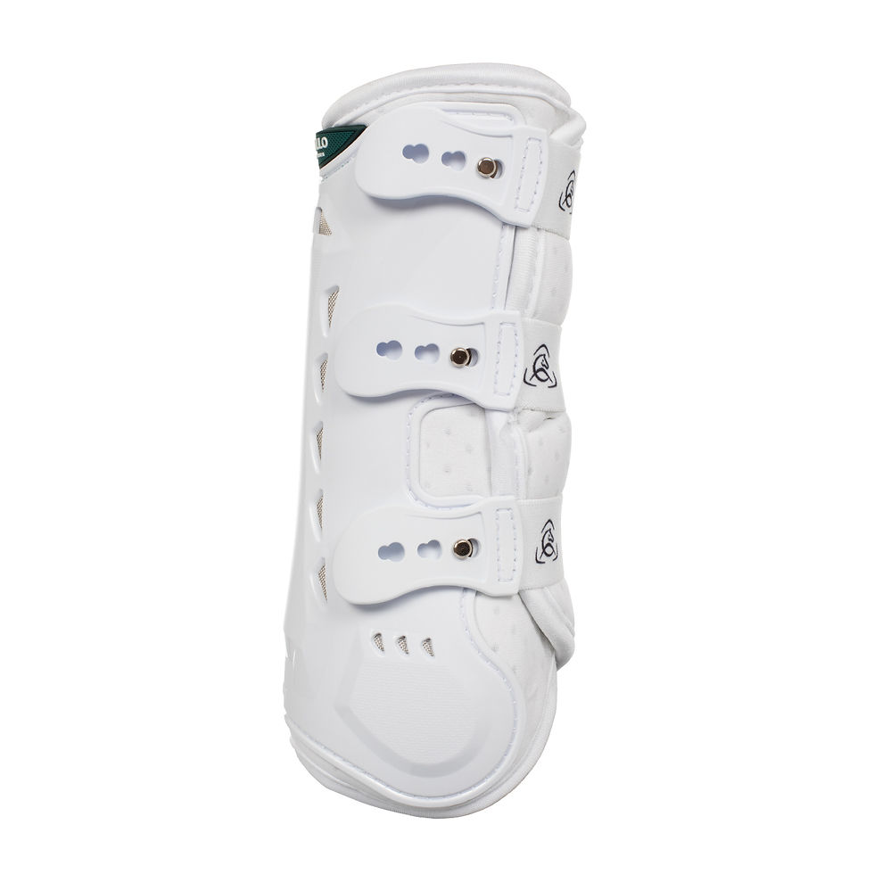 STINCHIERA ANTERIORE ANATOMICA DRESSAGE ACAVALLO