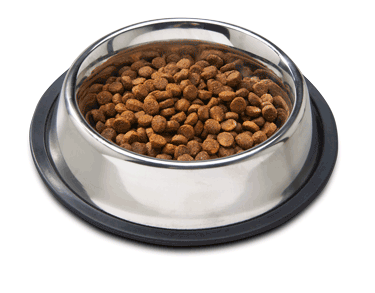 dog bowl filled with puppy food