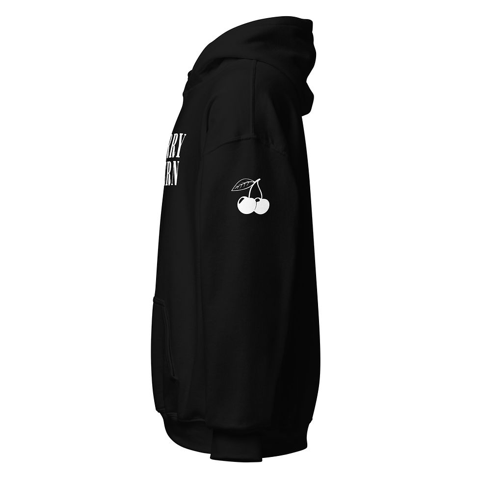 Thumbnail: Caught Stealing Original Hoodie (Black)