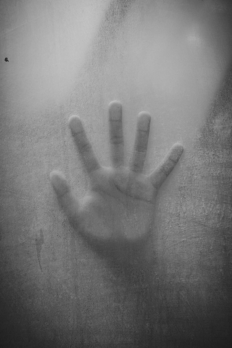 HanD.jpeg