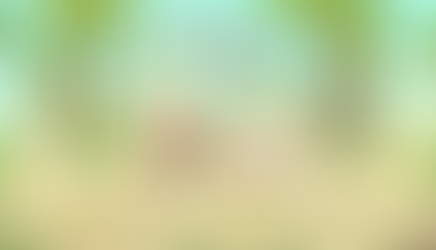 Yase Plays: Hermit and Pig (Demo)