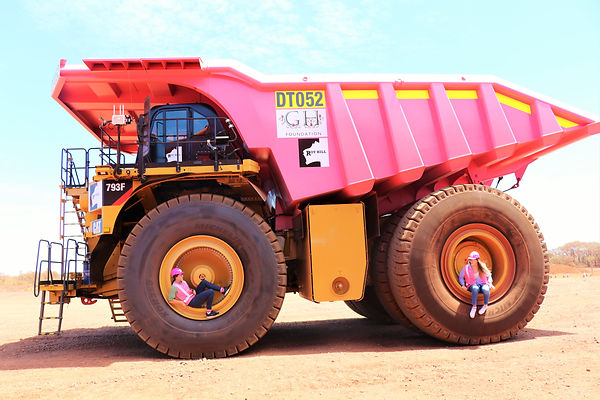 Pink Mining Machine Mineral Extraction | Nextier Energy