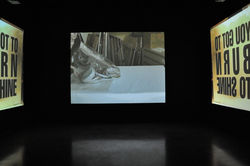 Ausstellungsansichten PORT25 uEiMs_HuT S