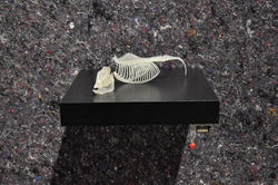 Ausstellungsansichten PORT25 uEiMs_Gerar