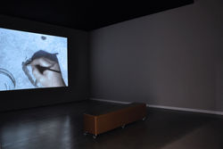 Ausstellungsansichten Timelines im Port25_27.jpeg