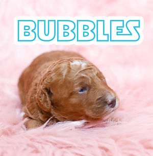 Bubbles.jpg