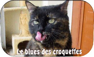LeBluesDesCroquettes.gif