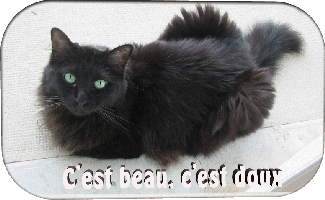 CEstBeauCEstDoux.gif