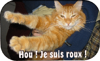 HouJeSuisRoux.gif