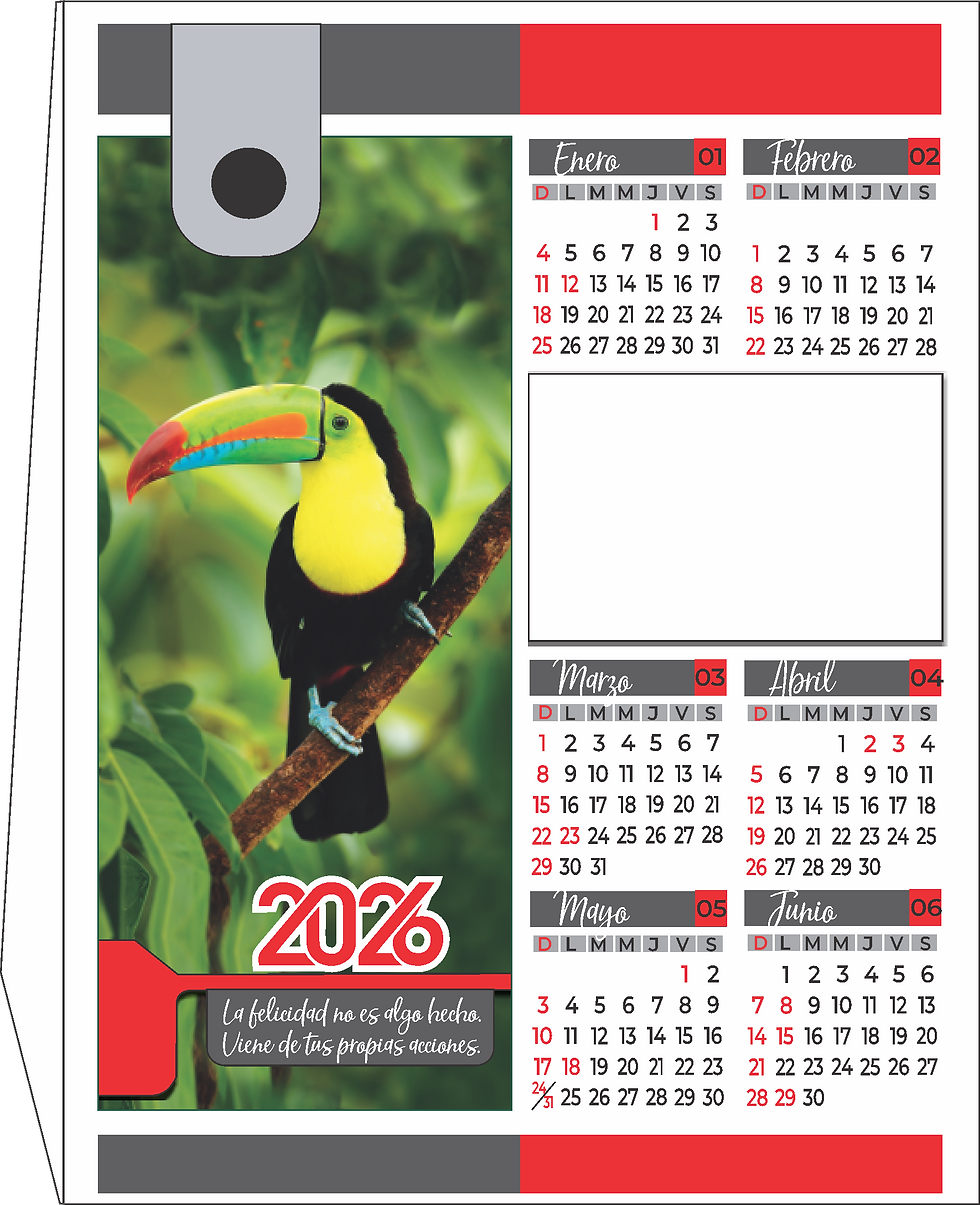 Escritorio Triangulo