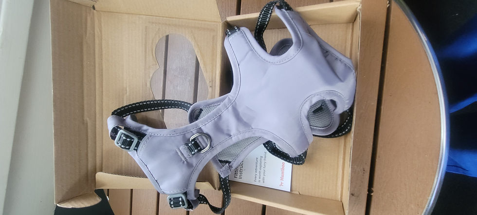 Thumbnail: Dog harness.