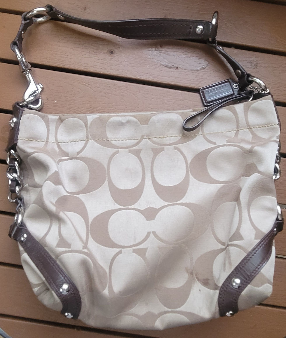 Thumbnail: Purse