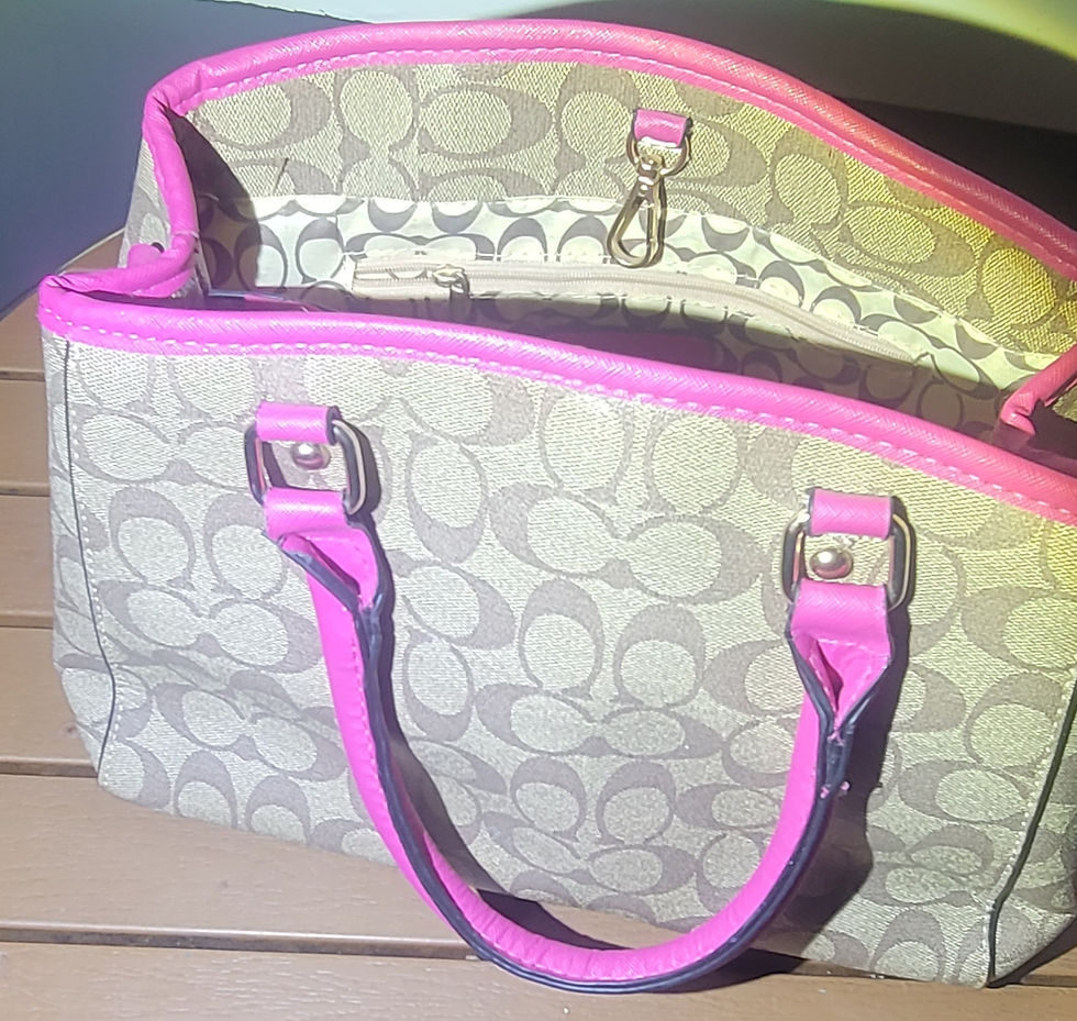 Thumbnail: Coach purse