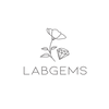 logo-labgems.png