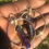 Thumbnail: Small brass hoop earrings 