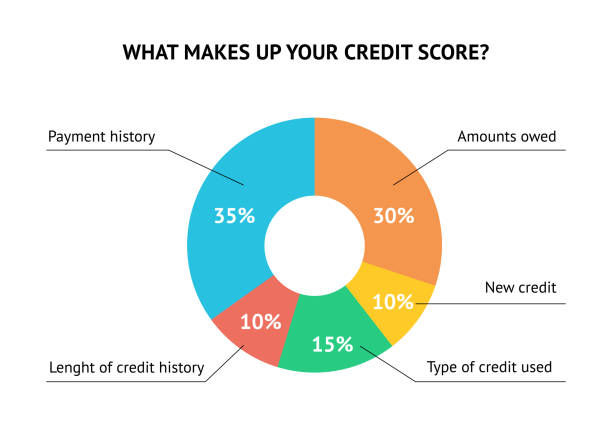 Graph chart of credit score make up