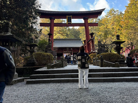 즉각적인 픽업과 여행! (1인 드라이빙투어 )