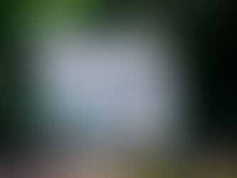 Become a Certified Steps to Freedom Facilitator – 25th March, Nottingham