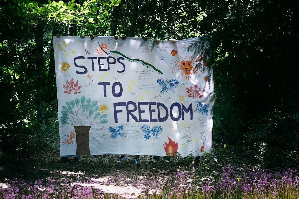 Become a Certified Steps to Freedom Facilitator – 25th March, Nottingham