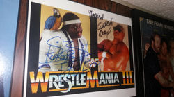 Koko B. Ware/Butch Reed