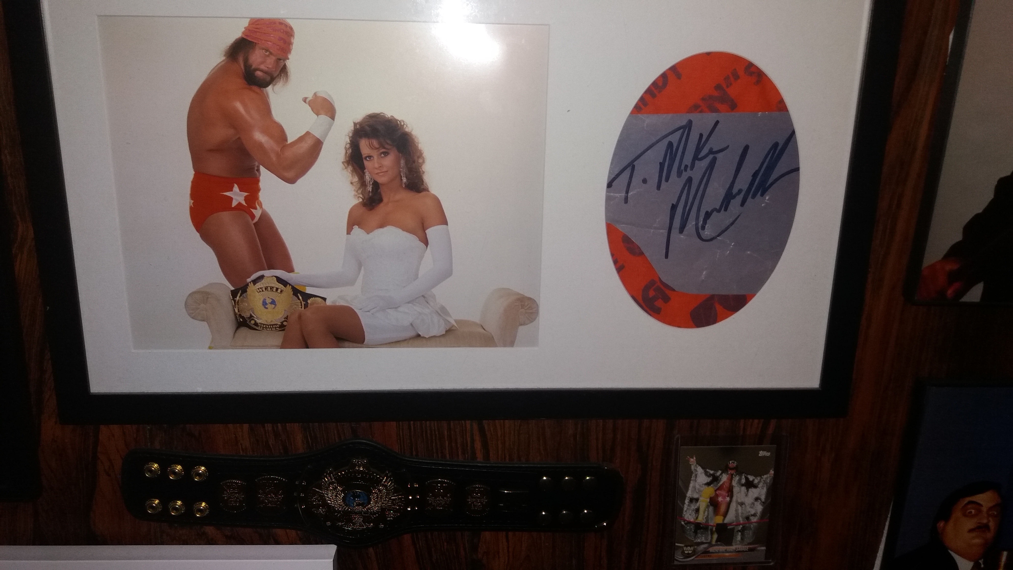 Randy Savage Main Display