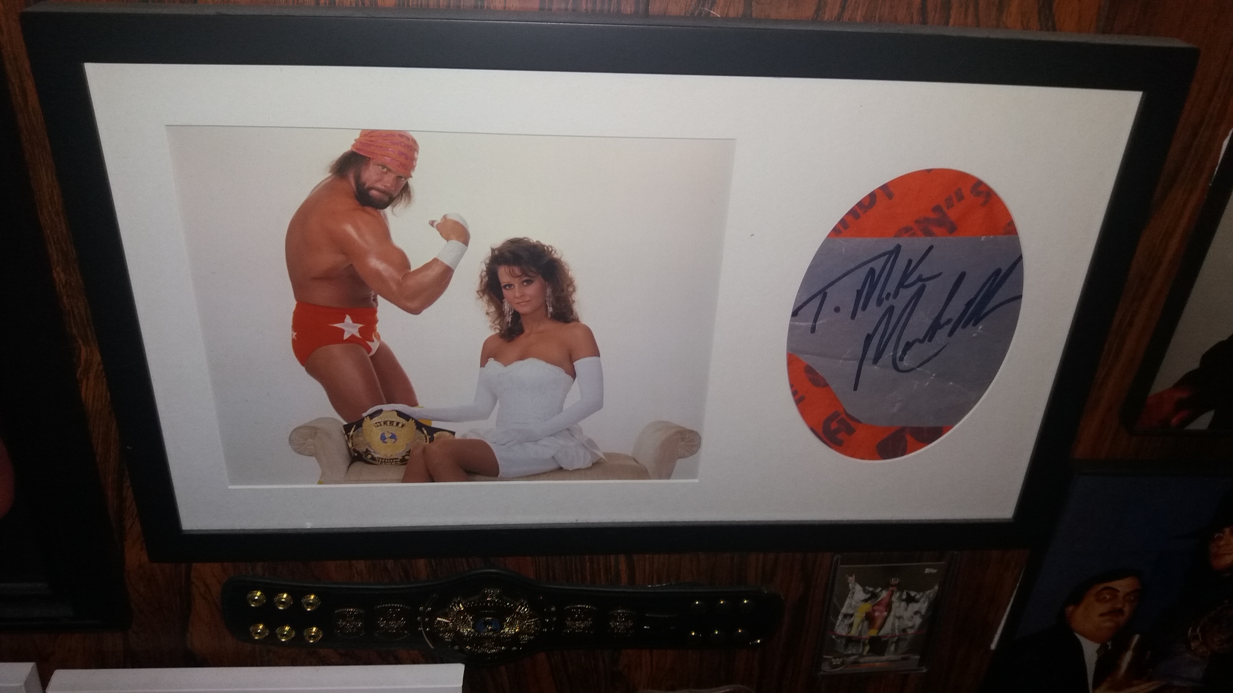 Randy Savage Display