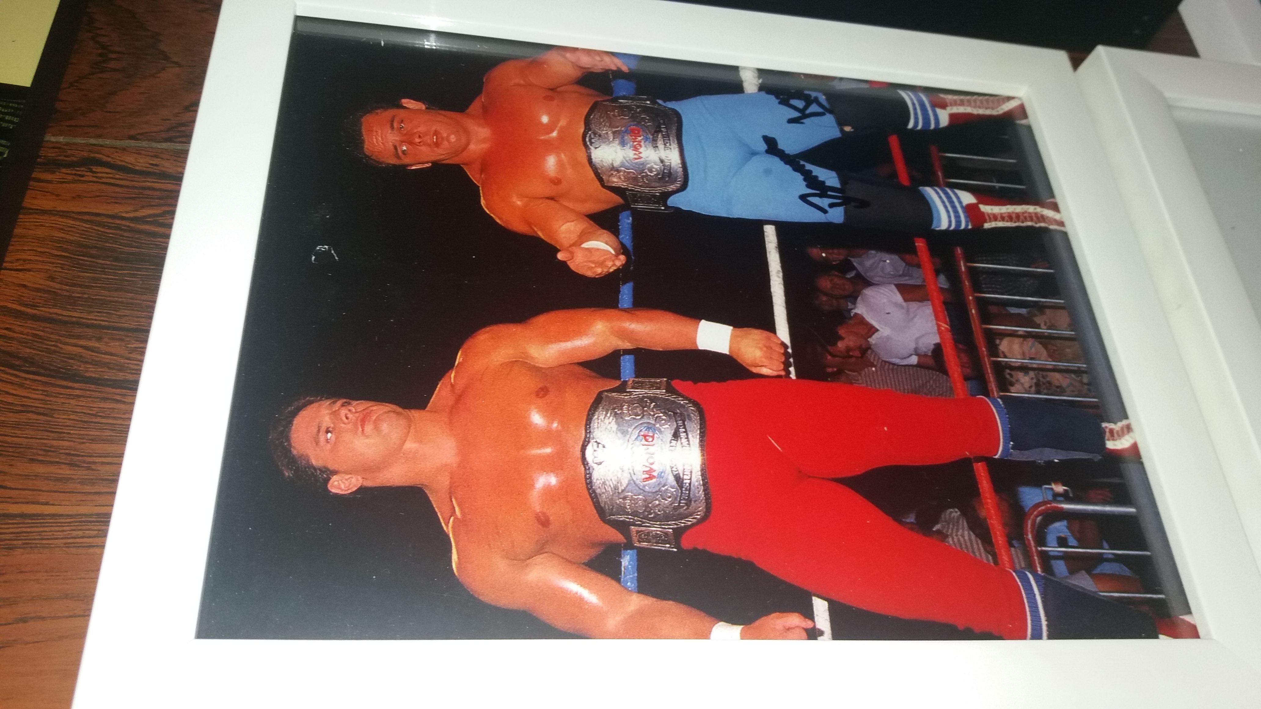 British Bulldogs Tag Titles