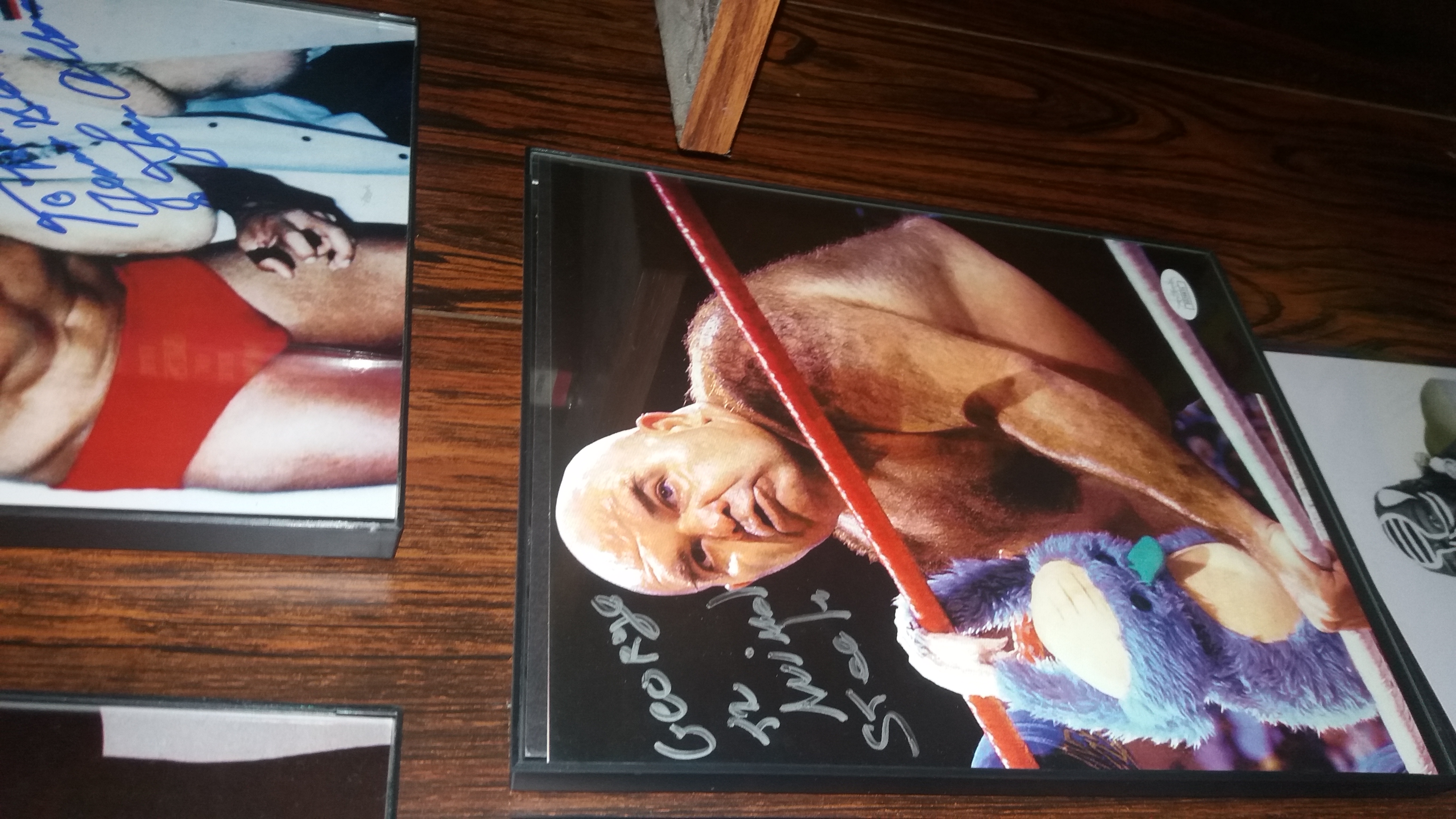 George The Animal Steele