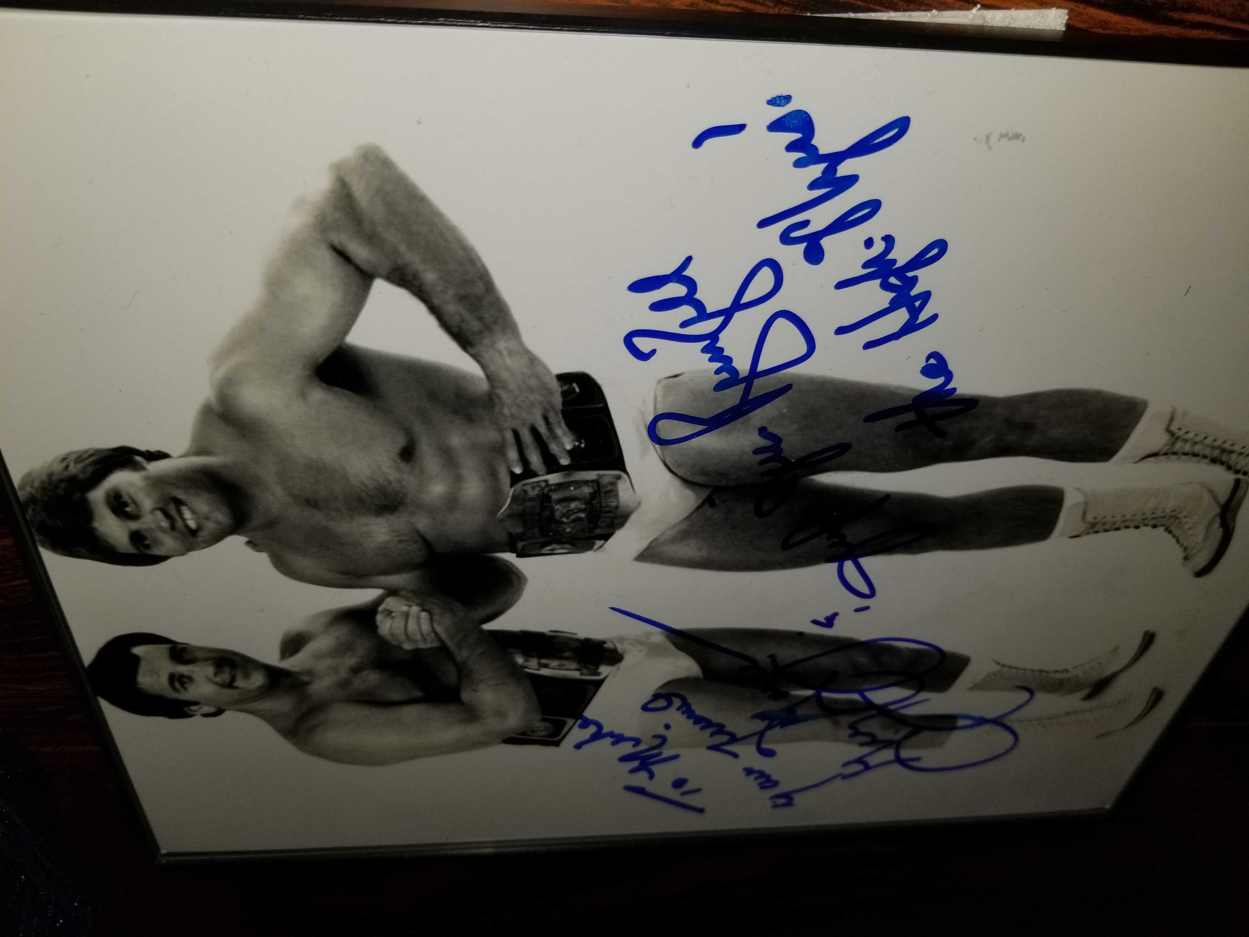 The High Flyers