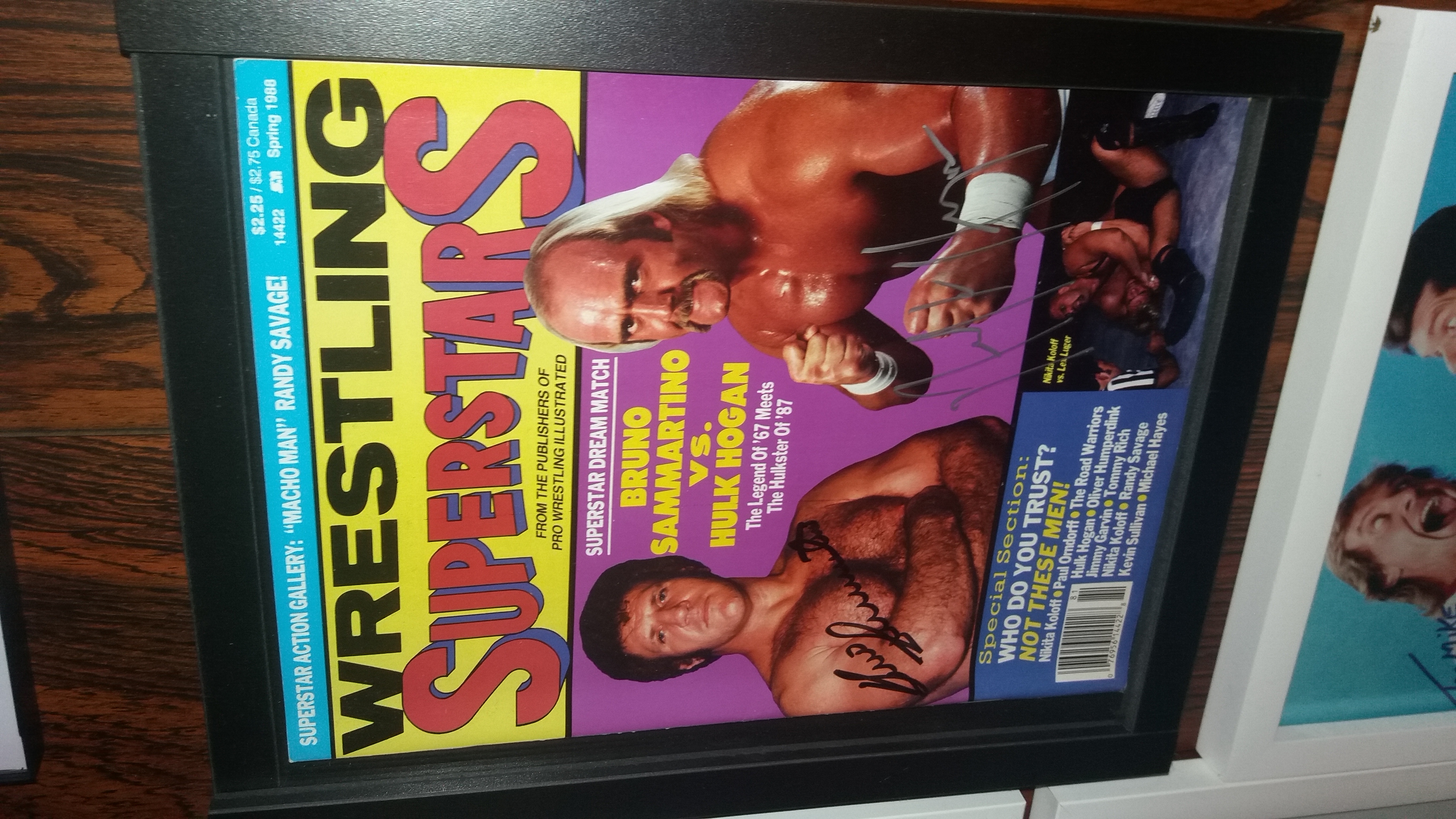 Wrestling Superstars Spring 1988