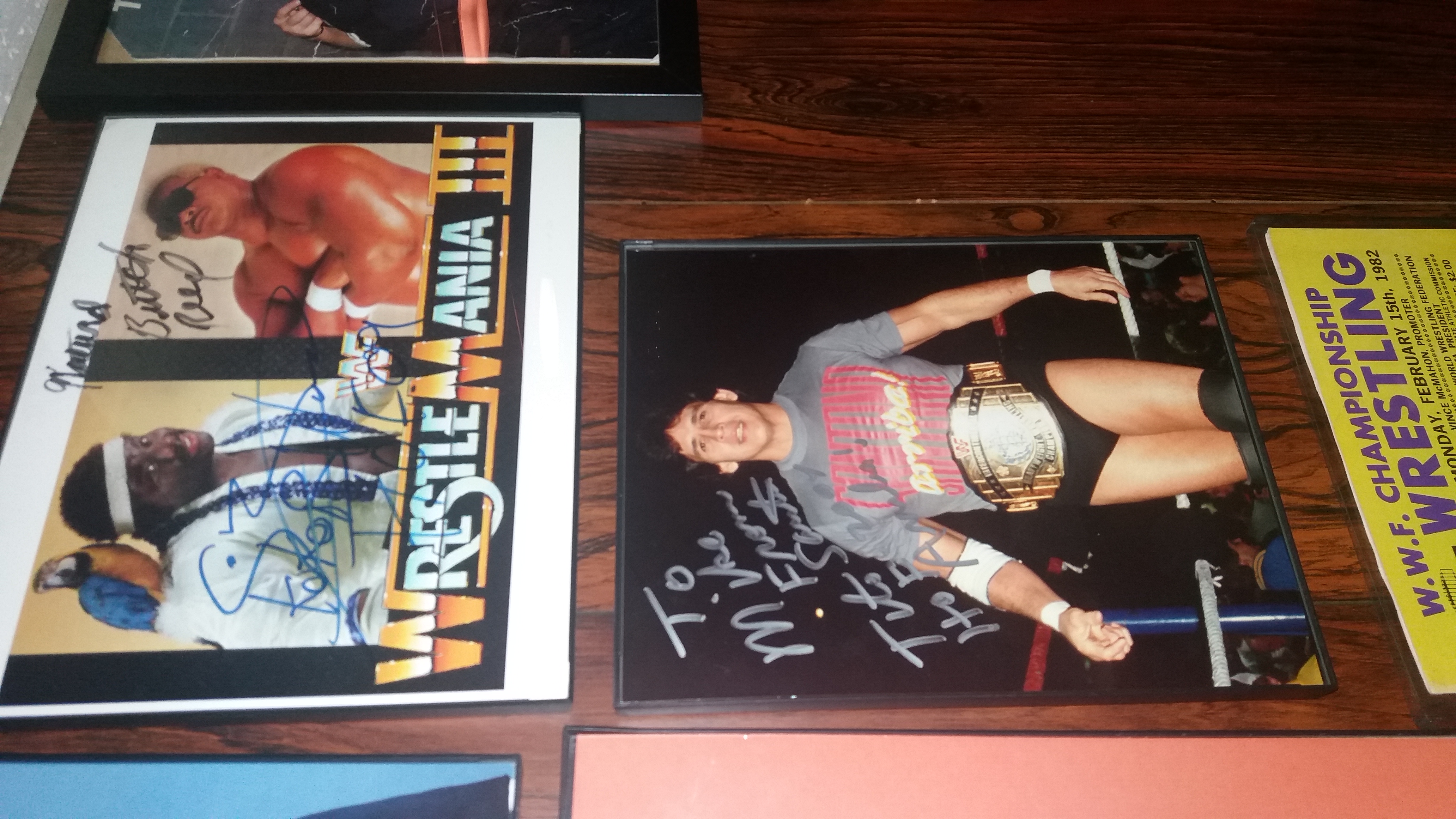 Classic WWF Display Part 3