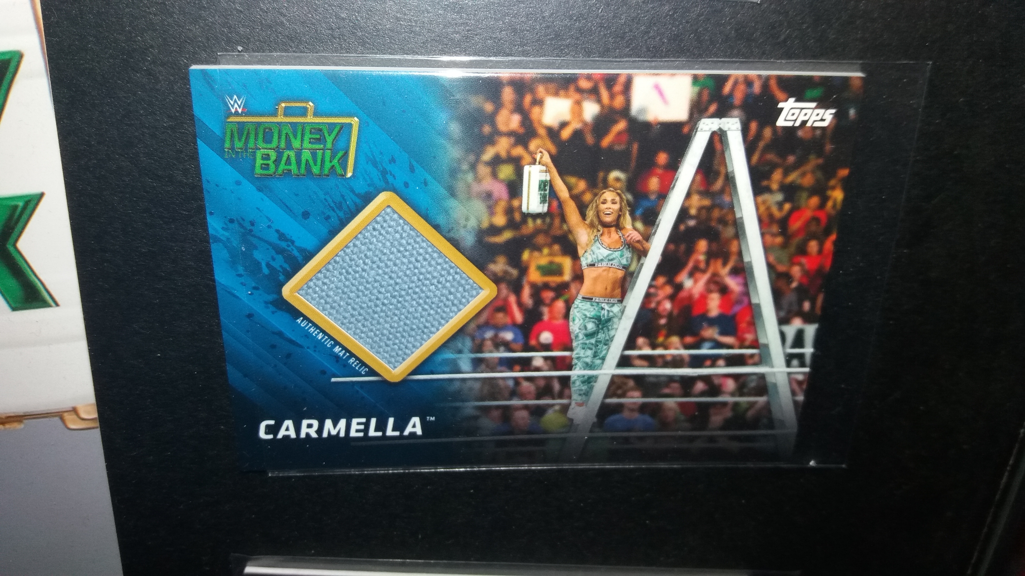 Money in the bank Mat Relic