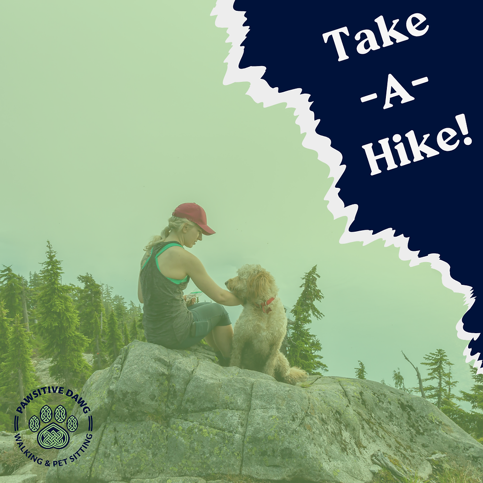 woman sitting on a rock with a dog on a hike