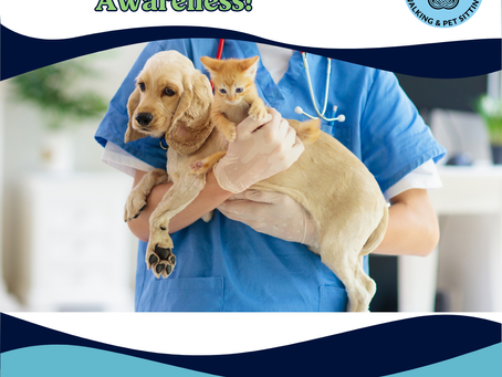 Spring Poison Hazards: What Every Pet Parent Should Watch For